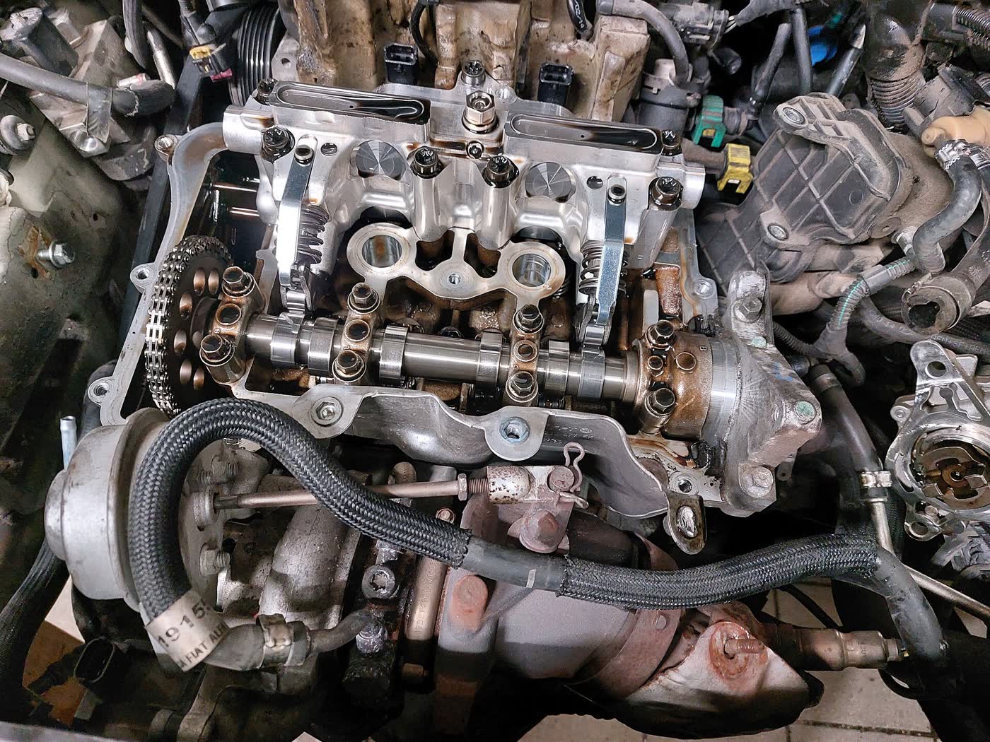 A camshaft and timing chain sitting in the head of a car engine, lobes visible