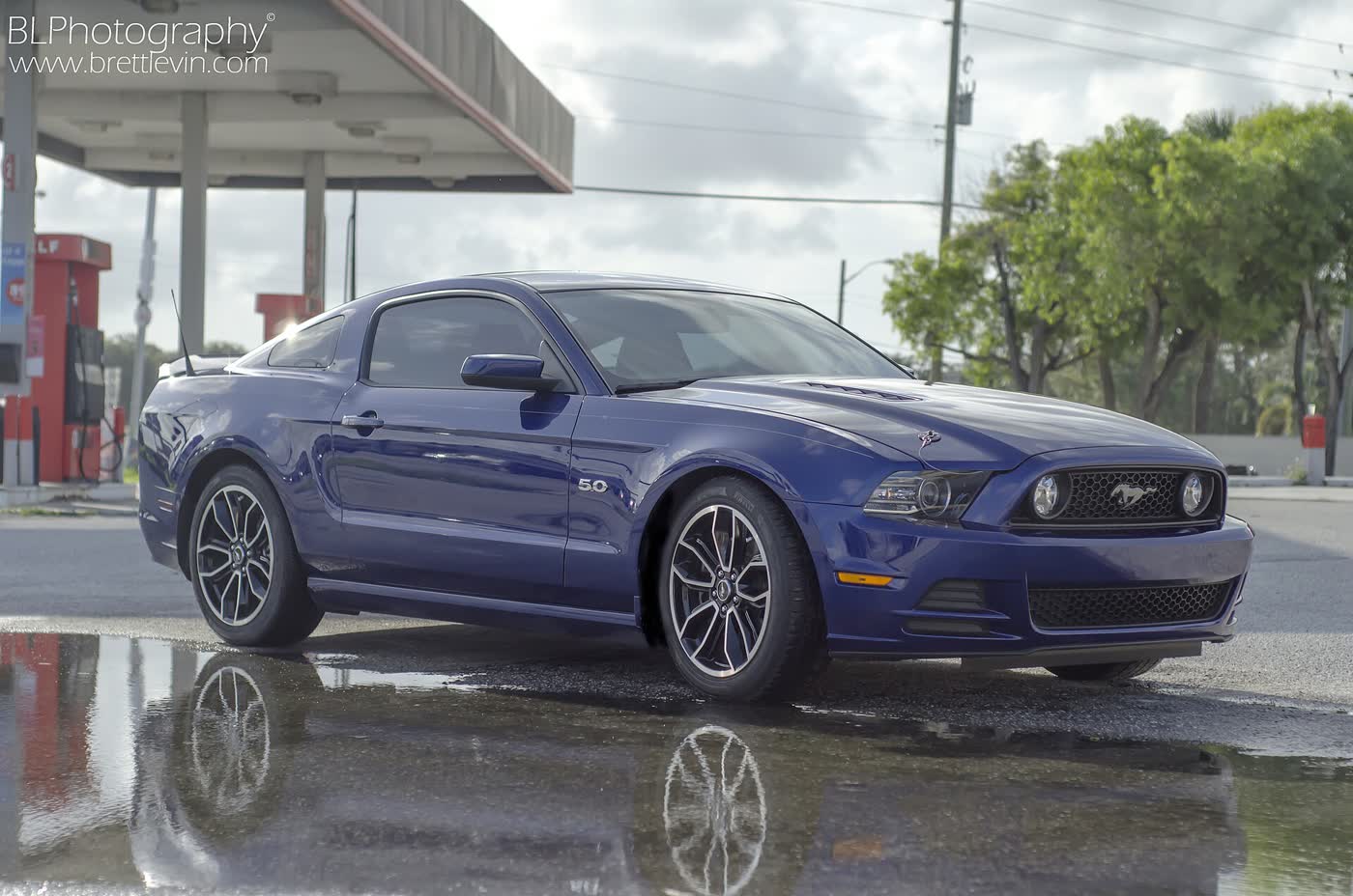 A deep blue 2013 Ford Mustang GT coupe with a 5.0 fender badge, front three-quarter view on wet tarmac